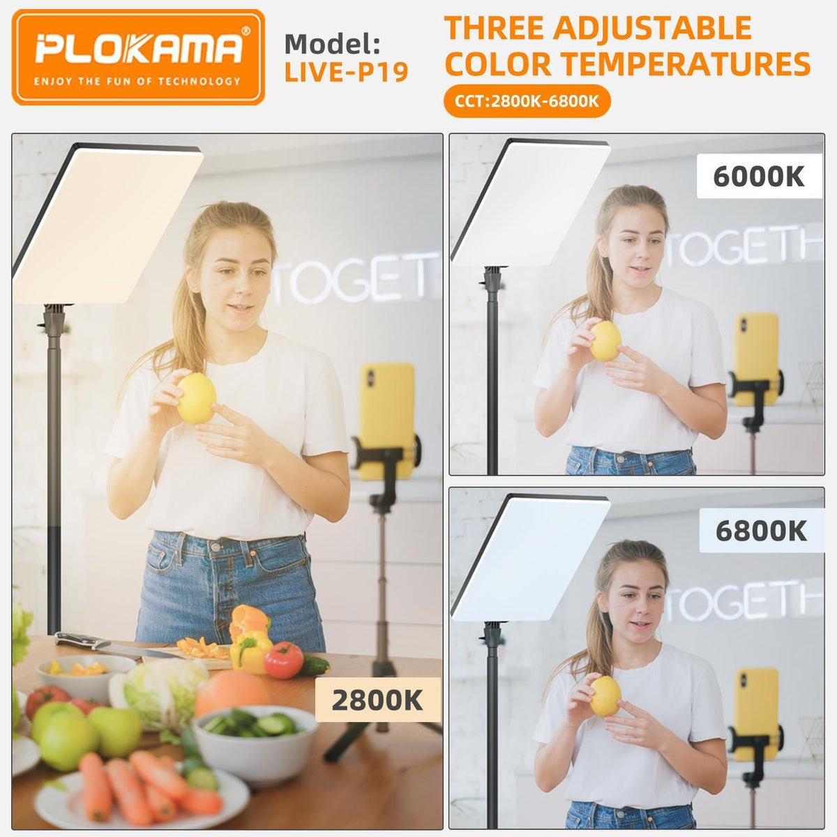 PLOKAMA LIVE-P19